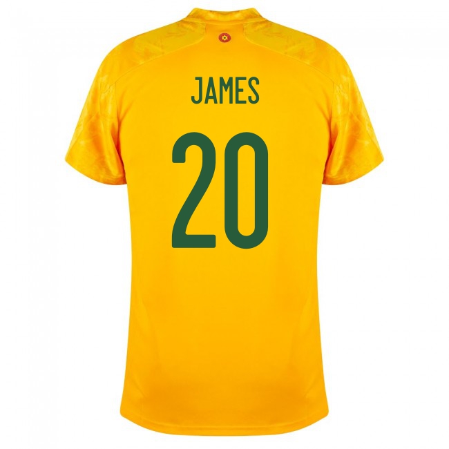 Damen Walisische Fussballnationalmannschaft Daniel James #20 Auswärtstrikot Rot 2021 Trikot