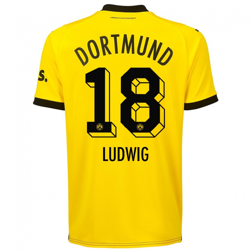Kandiny Herren Michel Ludwig #18 Gelb Heimtrikot Trikot 2023/24 T-Shirt