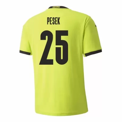 Damen Tschechische Fussballnationalmannschaft Jakub Pesek #25 Auswärtstrikot Hellgrün 2021 Trikot