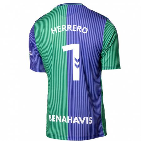 Kandiny Herren Alfonso Herrero #1 Grün Blau Auswärtstrikot Trikot 2023/24 T-Shirt