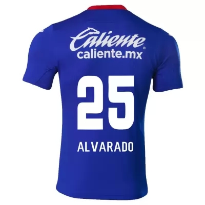 Herren Fußball Roberto Alvarado #25 Heimtrikot Königsblau Trikot 2020/21 Hemd