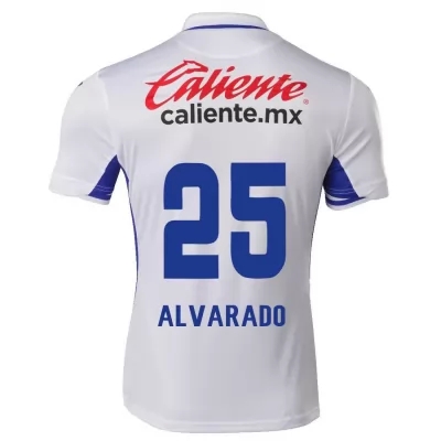 Herren Fußball Roberto Alvarado #25 Auswärtstrikot Weiß Blau Trikot 2020/21 Hemd